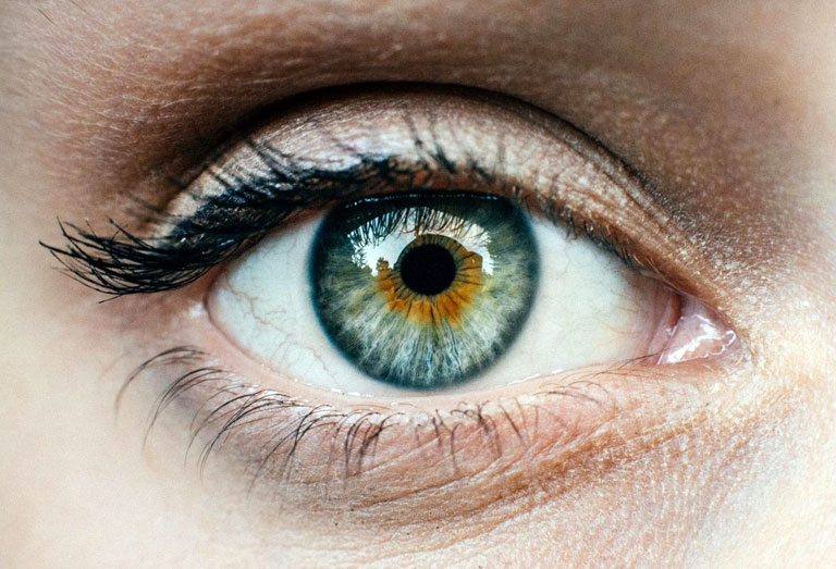 Le fonctionnement de l’œil