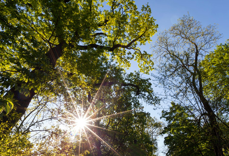 La vision et la lumière naturelle
