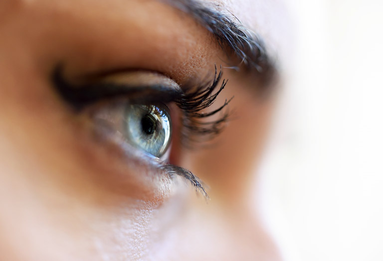 Le rôle de la rétine dans la vision